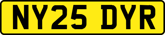 NY25DYR