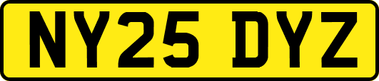NY25DYZ