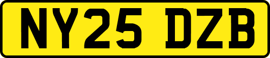 NY25DZB