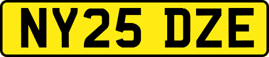 NY25DZE