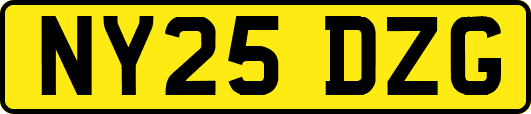 NY25DZG