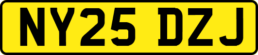 NY25DZJ