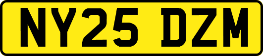 NY25DZM