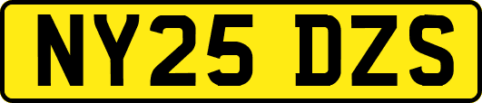 NY25DZS