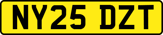 NY25DZT