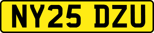 NY25DZU