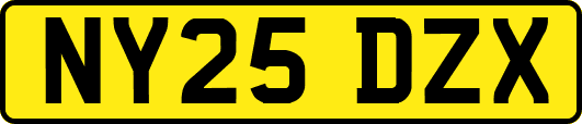 NY25DZX