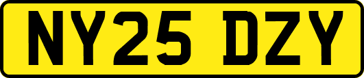 NY25DZY