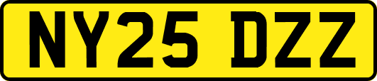 NY25DZZ