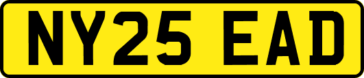 NY25EAD