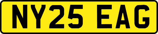NY25EAG