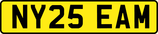 NY25EAM