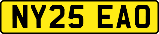 NY25EAO