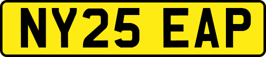 NY25EAP
