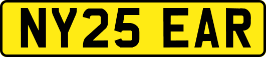 NY25EAR