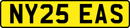 NY25EAS