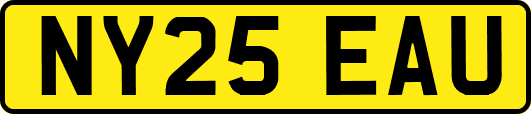 NY25EAU
