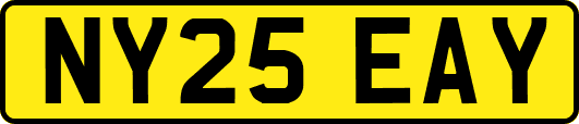 NY25EAY