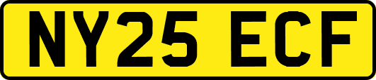NY25ECF