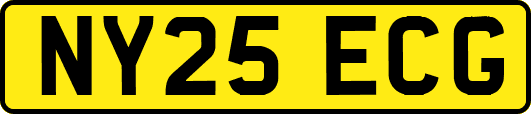NY25ECG