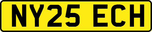 NY25ECH