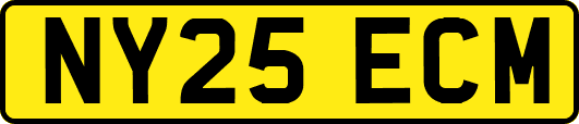 NY25ECM