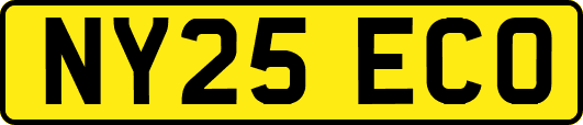NY25ECO