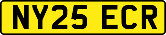 NY25ECR