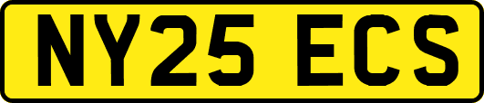 NY25ECS