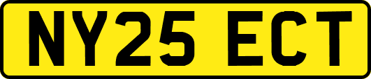 NY25ECT