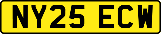 NY25ECW