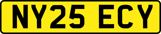 NY25ECY