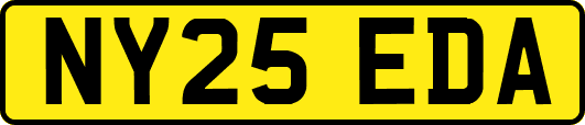 NY25EDA