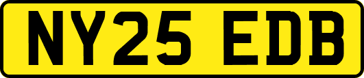 NY25EDB