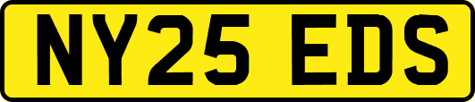 NY25EDS