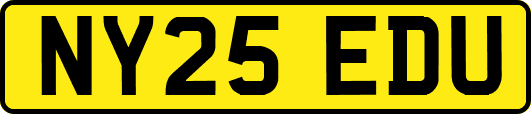NY25EDU