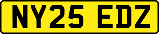 NY25EDZ