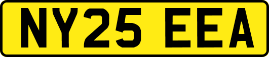 NY25EEA