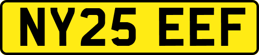 NY25EEF