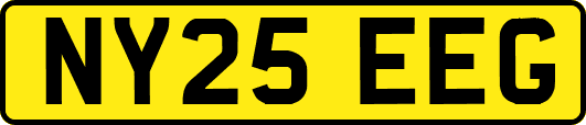NY25EEG