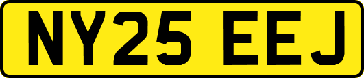 NY25EEJ