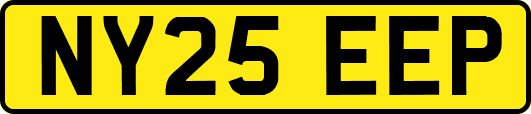 NY25EEP