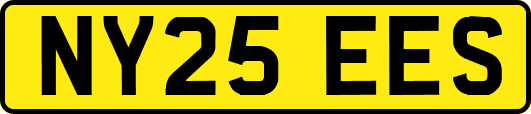 NY25EES