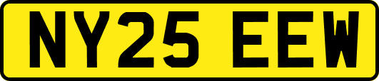 NY25EEW