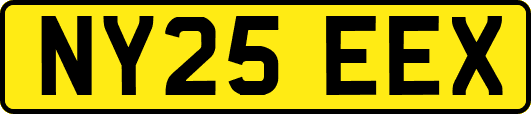 NY25EEX