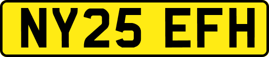 NY25EFH