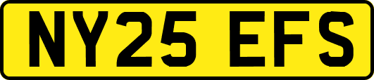 NY25EFS