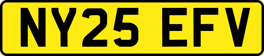NY25EFV