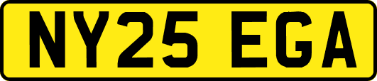 NY25EGA