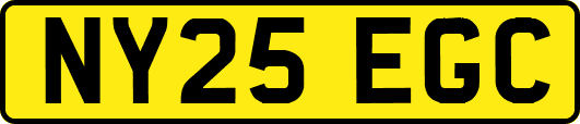 NY25EGC